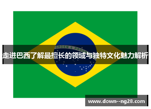 走进巴西了解最擅长的领域与独特文化魅力解析