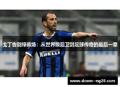 戈丁告别绿茵场:从世界级后卫到足球传奇的最后一章 戈丁告别绿茵场:从世界级后卫到足球传奇的最后一章