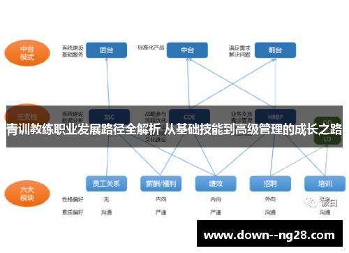 青训教练职业发展路径全解析 从基础技能到高级管理的成长之路