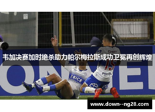 韦加决赛加时绝杀助力帕尔梅拉斯成功卫冕再创辉煌